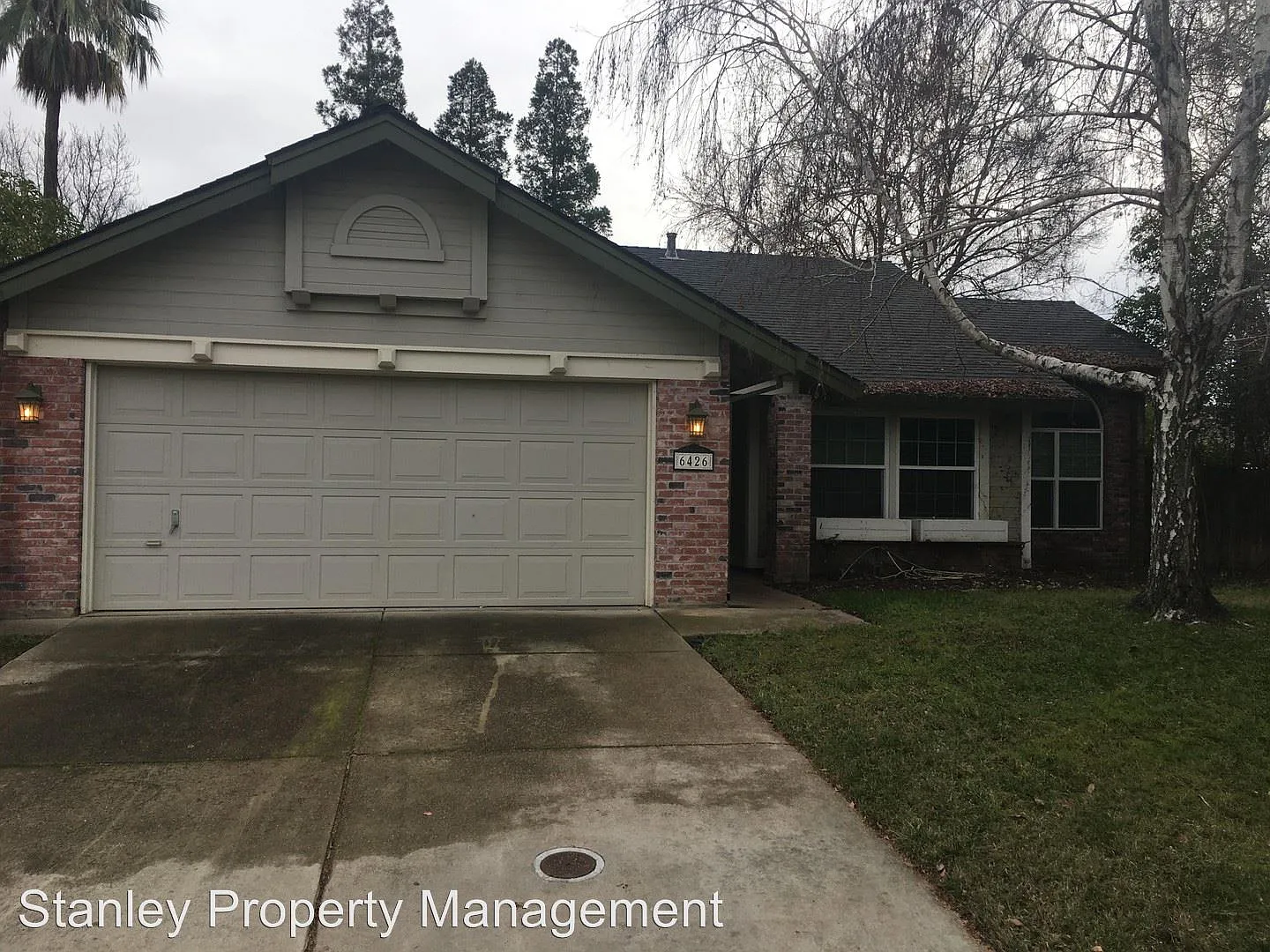 6426 Fuego Way photo 1