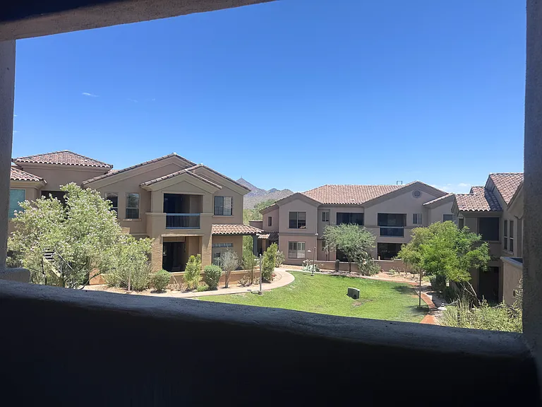 View from the patio