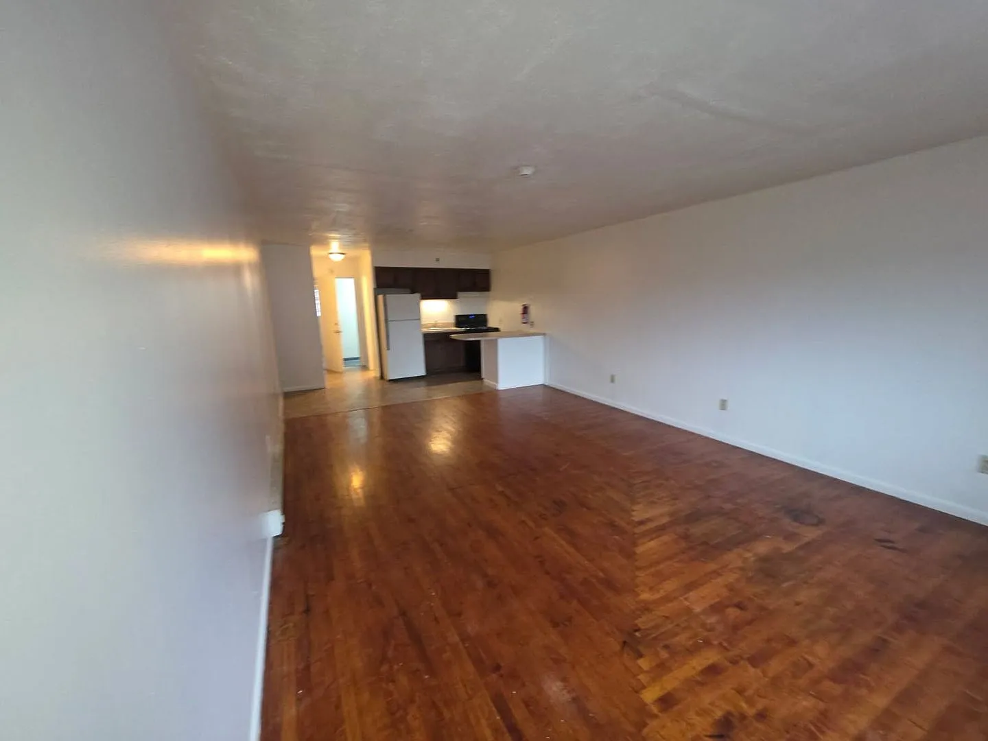 1217 Moss St — Photo 2