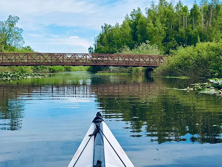 Mercer Park Kayaking across the street