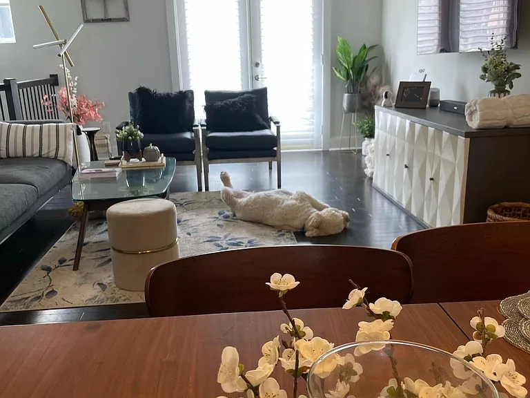 Dining Space/Open Floor Plan