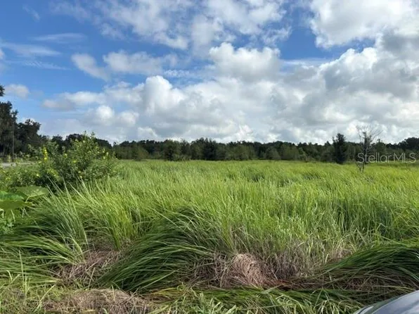 WALTER HUNTER ROAD Lot 1, LITHIA, FL 33547
