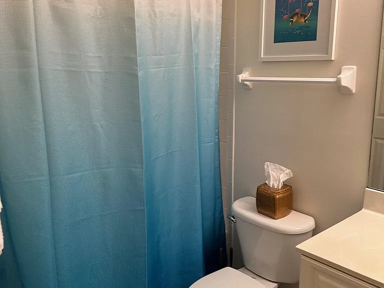Guest bath