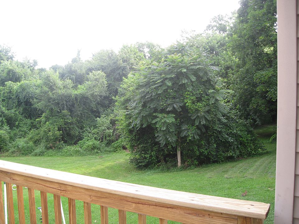 back yard view of city park