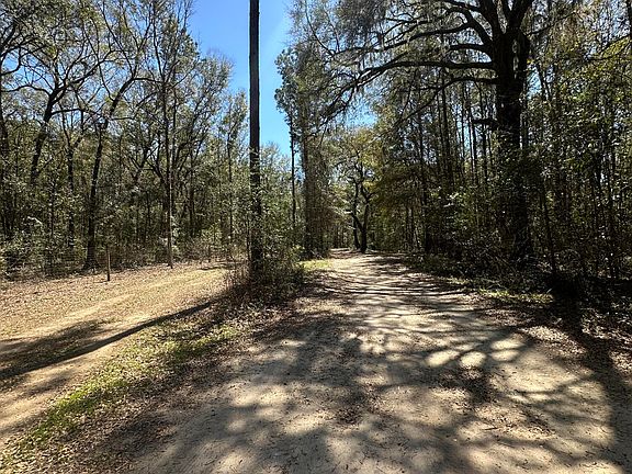 4th image of 5194 Kuzia Rd