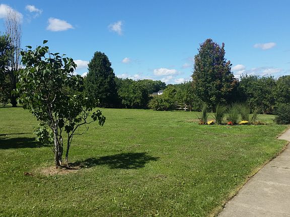 Serene Backyard with Patiio