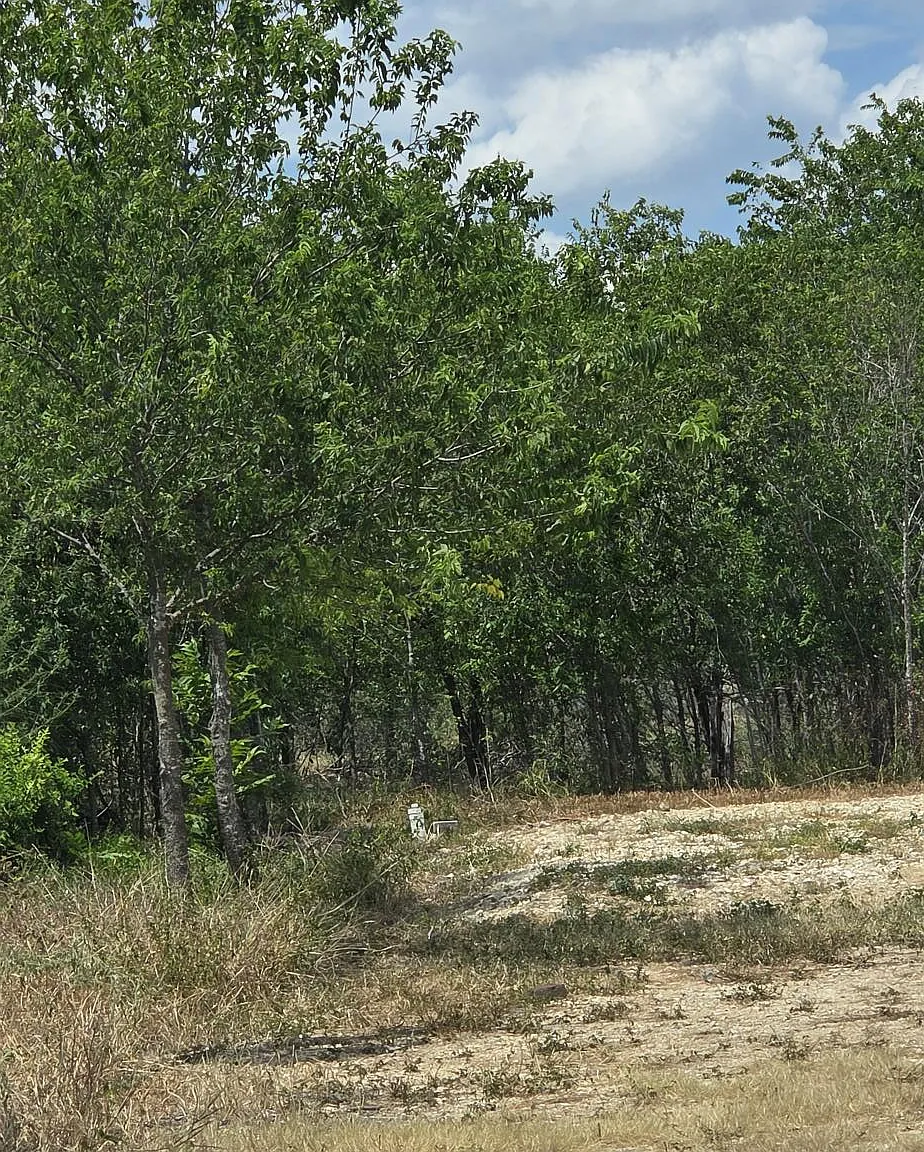 8279 Green Valley Road - 1 — Photo 3