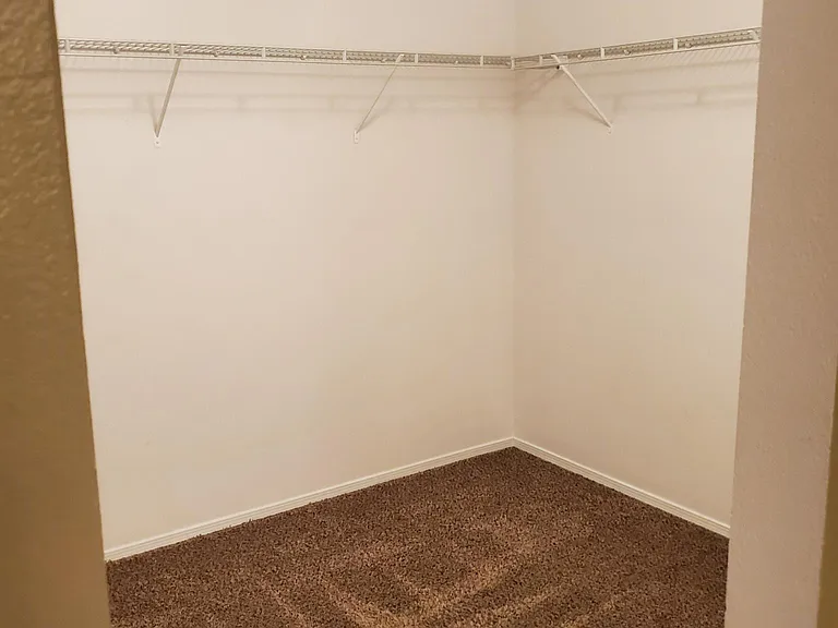 Master bedroom closet (located in bathroom)