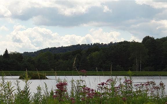 2nd image of Lake Lorraine Ln