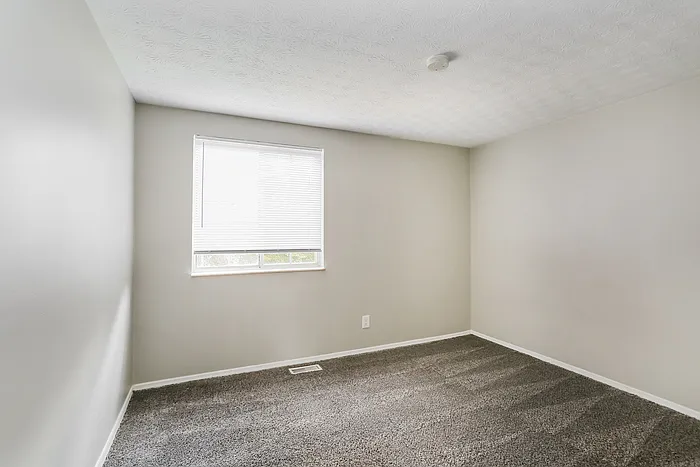 3804 Big Walnut Dr — Photo 8