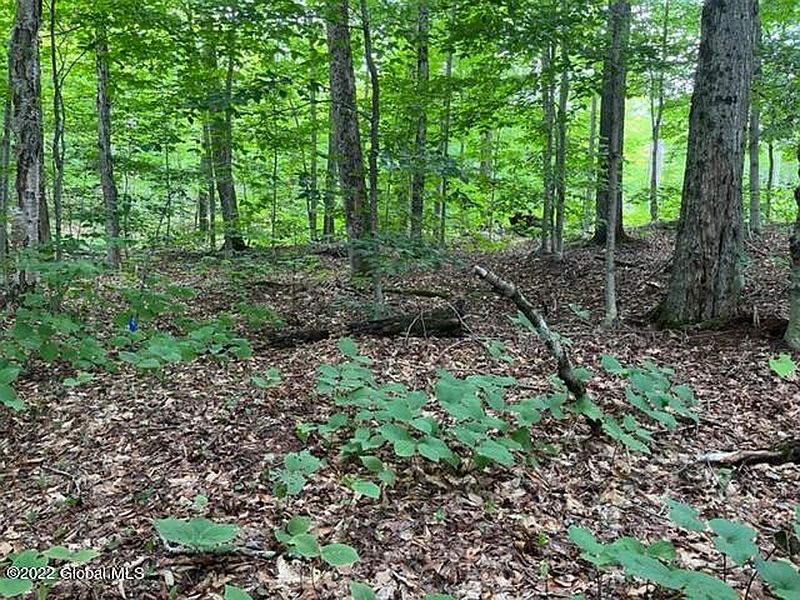 4th image of Lot 155 N Shore Road