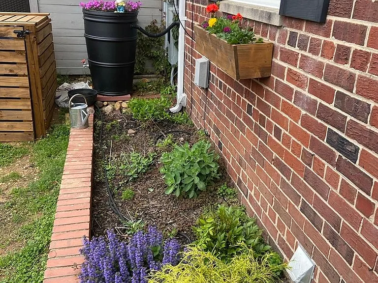 front yard garden bed and rain barrel system