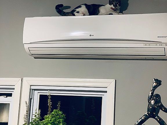 Spit heater/cooler system