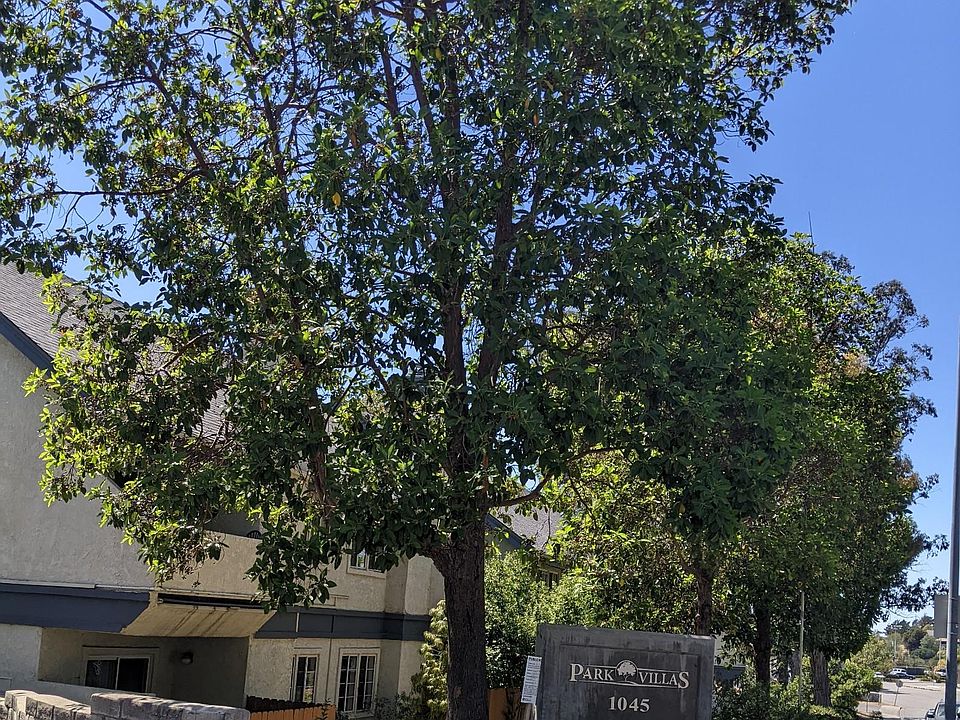 1st image of 1043 Southwood Dr APT I