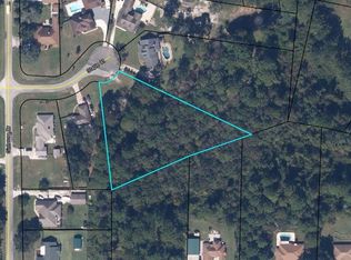 4441 STAPLE Court, Middleburg, FL 32068