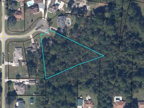 4441 STAPLE Court, Middleburg, FL 32068