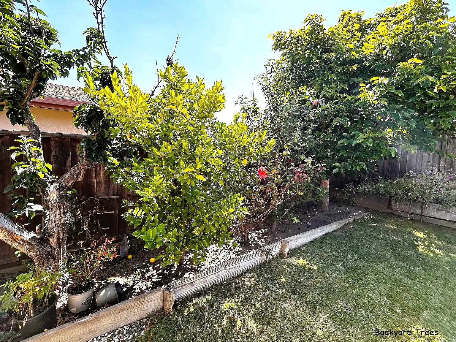 3 bed, 1600 sqft, $4,500 — Photo 3