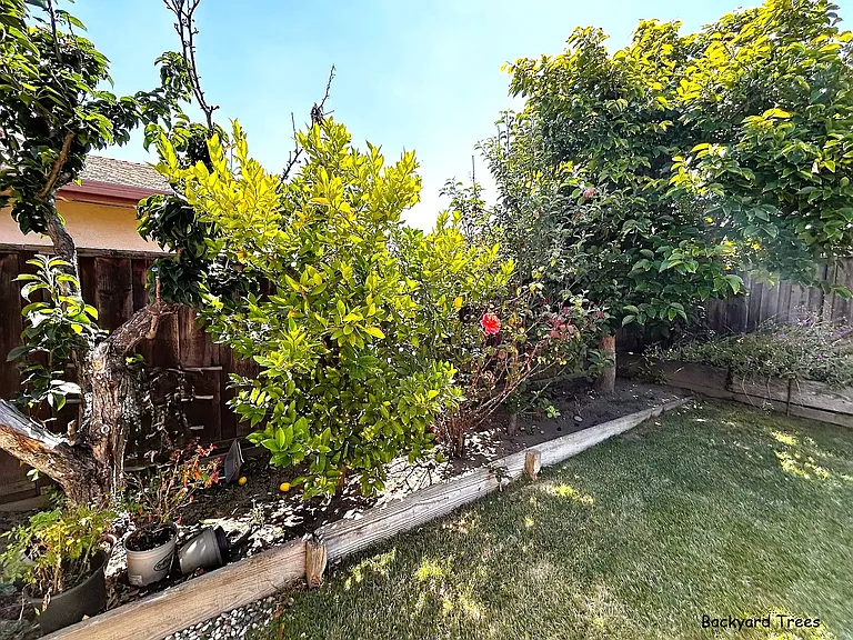 4752 Jaques Ct — Photo 5