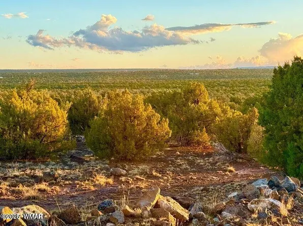 Weber Way, Show Low, AZ 85901