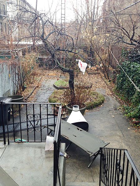 1st image of 518 Court St APT 1