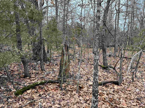 (undisclosed Address), Horseshoe Bend, AR 72512