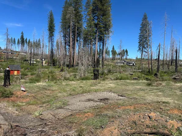 5154 Evergreen Dr, Grizzly Flats, CA 95636