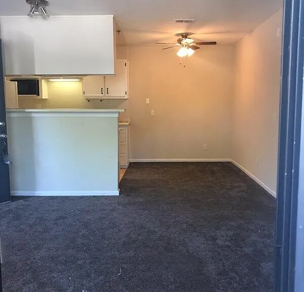 8201 Camino Colegio Dr — Photo 6
