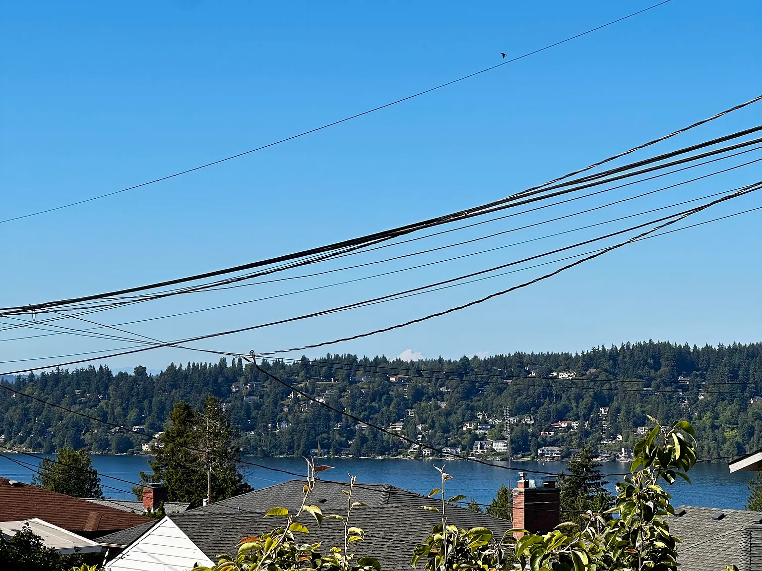 2 bed, 1430 sqft, $2,900 — Photo 3