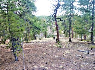 525 Cochetopa Rd, Florissant, CO 80816