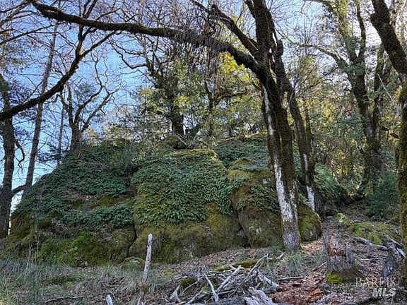 5th image of 58921 George Washington Rock Road