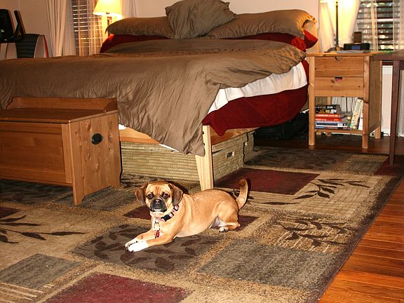 Pets Welcome!