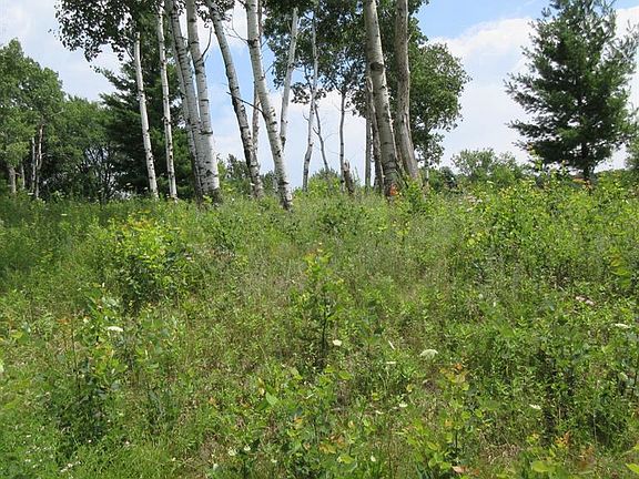 2nd image of Lot 13 516th Street
