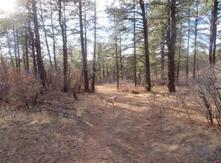 735 Doc Adams Rd, Pagosa Springs, CO 81147