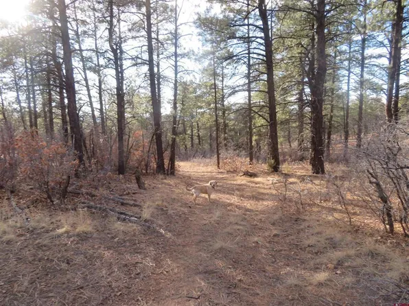 735 Doc Adams Road, Pagosa Springs, CO 81147