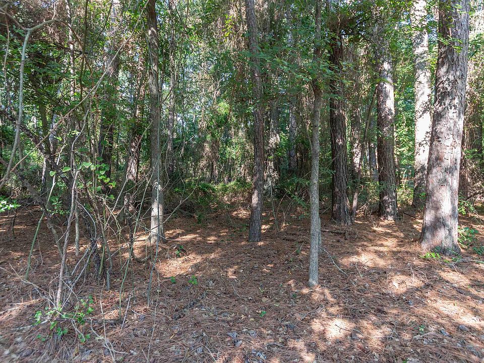 2nd image of County Road 1237