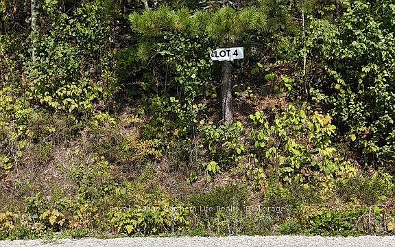 2nd image of LOT 4 Fox Run