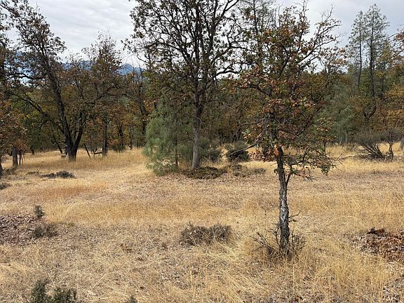 2nd image of 521 Ransom Rd