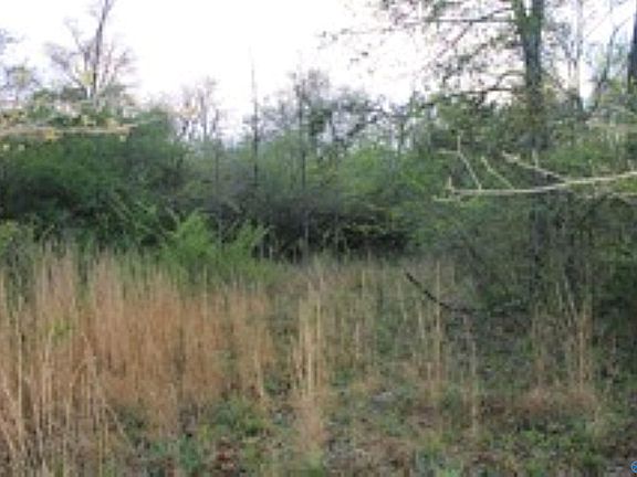 5th image of 323/ACRE S County Rd #52