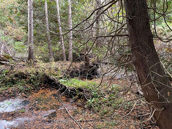 2nd image of 4627 Ganaraska Rd #10