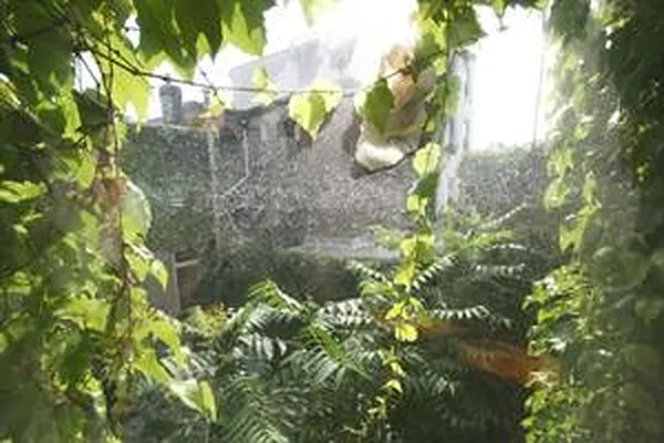 Rented by Corcoran | media 31