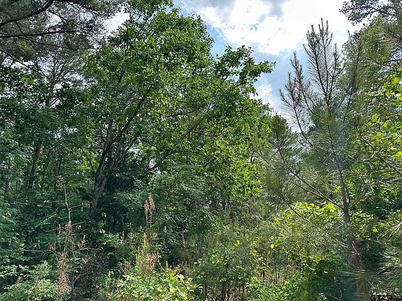 3rd image of 16837 Pine Hollow Ct