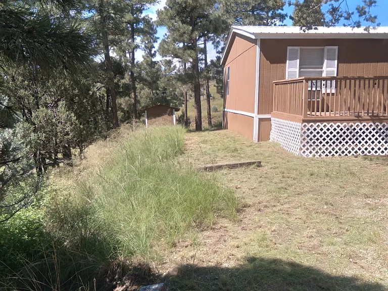 112 Pine Knot Trl — Photo 23