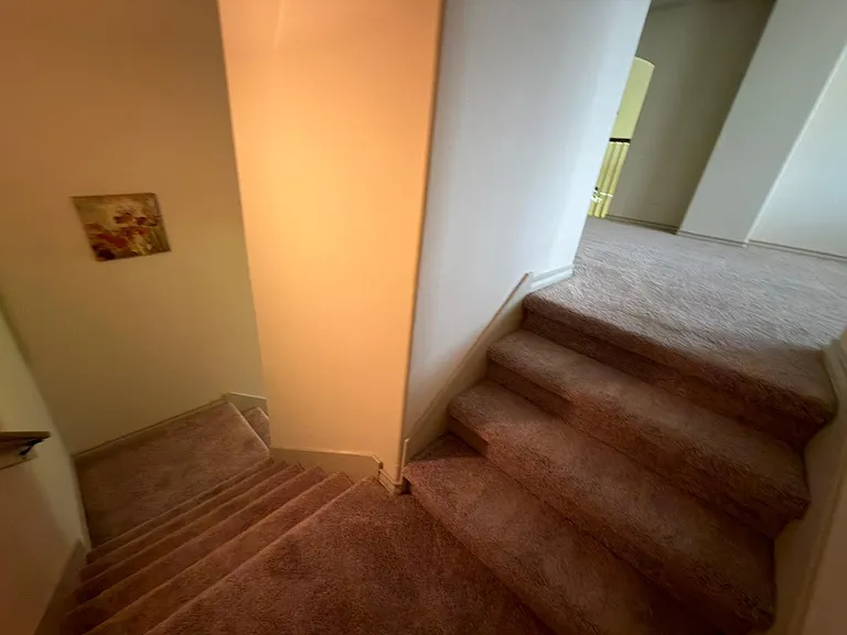 3419 Selene Dr — Photo 14