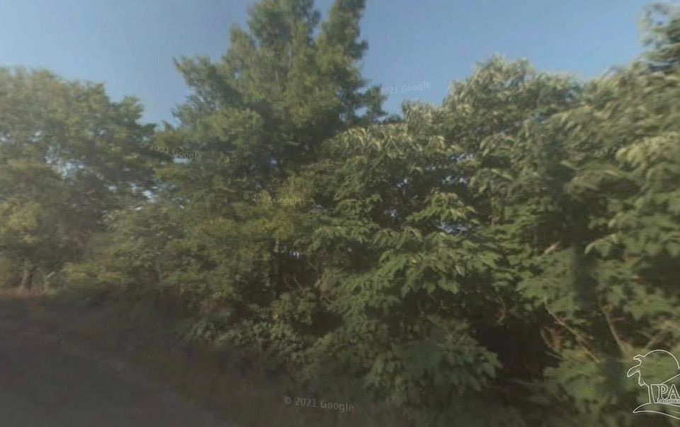2nd image of 2694 Ray St