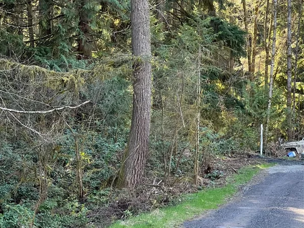 0 133rd Street NW, Gig Harbor, WA 98239