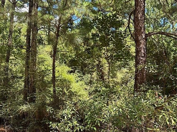 5th image of 1715 Lena Flatwoods Rd