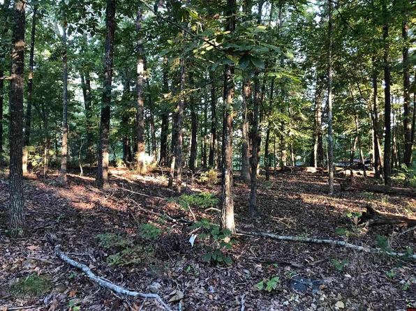 6 Shorecrest Dr, Mountain Home, AR 72653