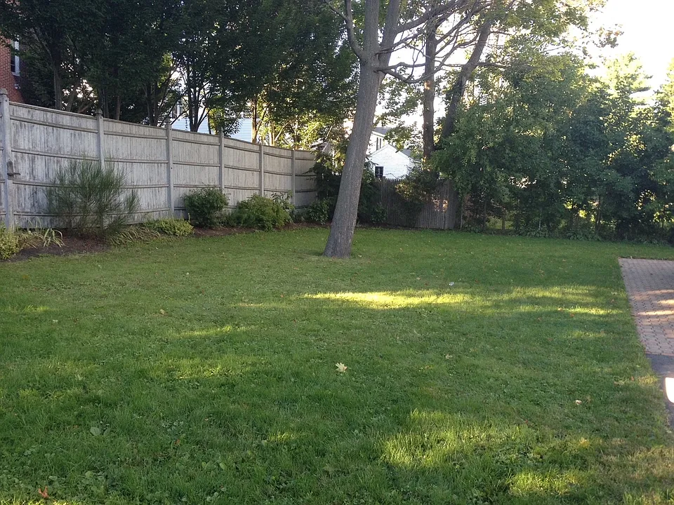 Backyard to be shared by three units.
