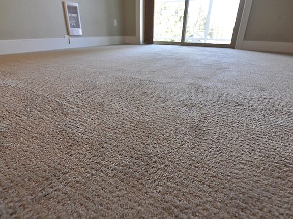 Newer Carpet throughout the Apartment