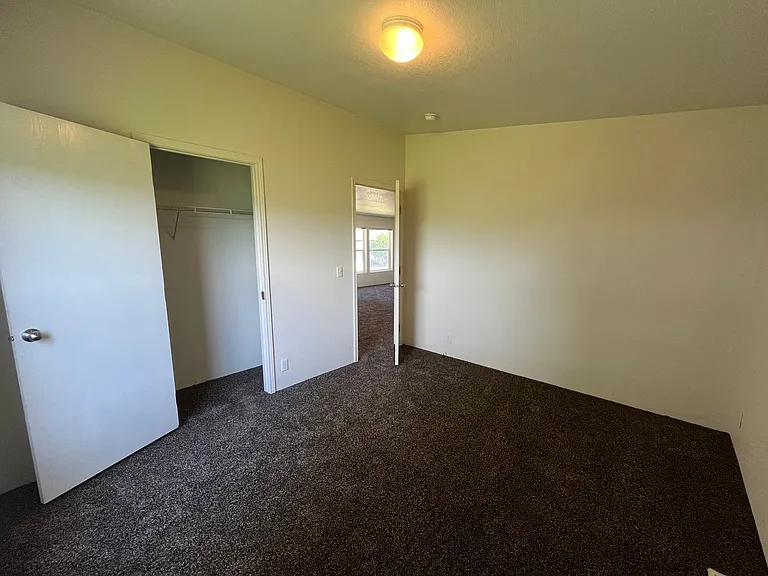 29426 Dane Ln — Photo 13